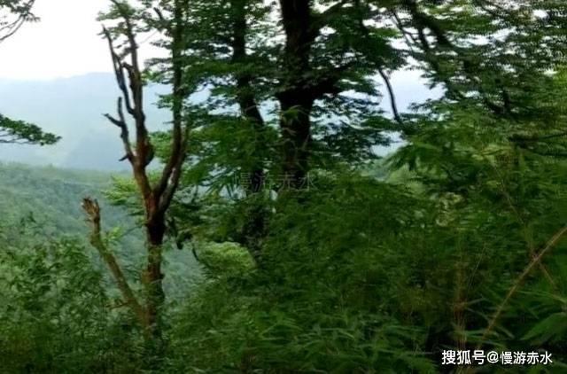一站式收完过年装备,这个双休日去逛“浙”里庙会吧